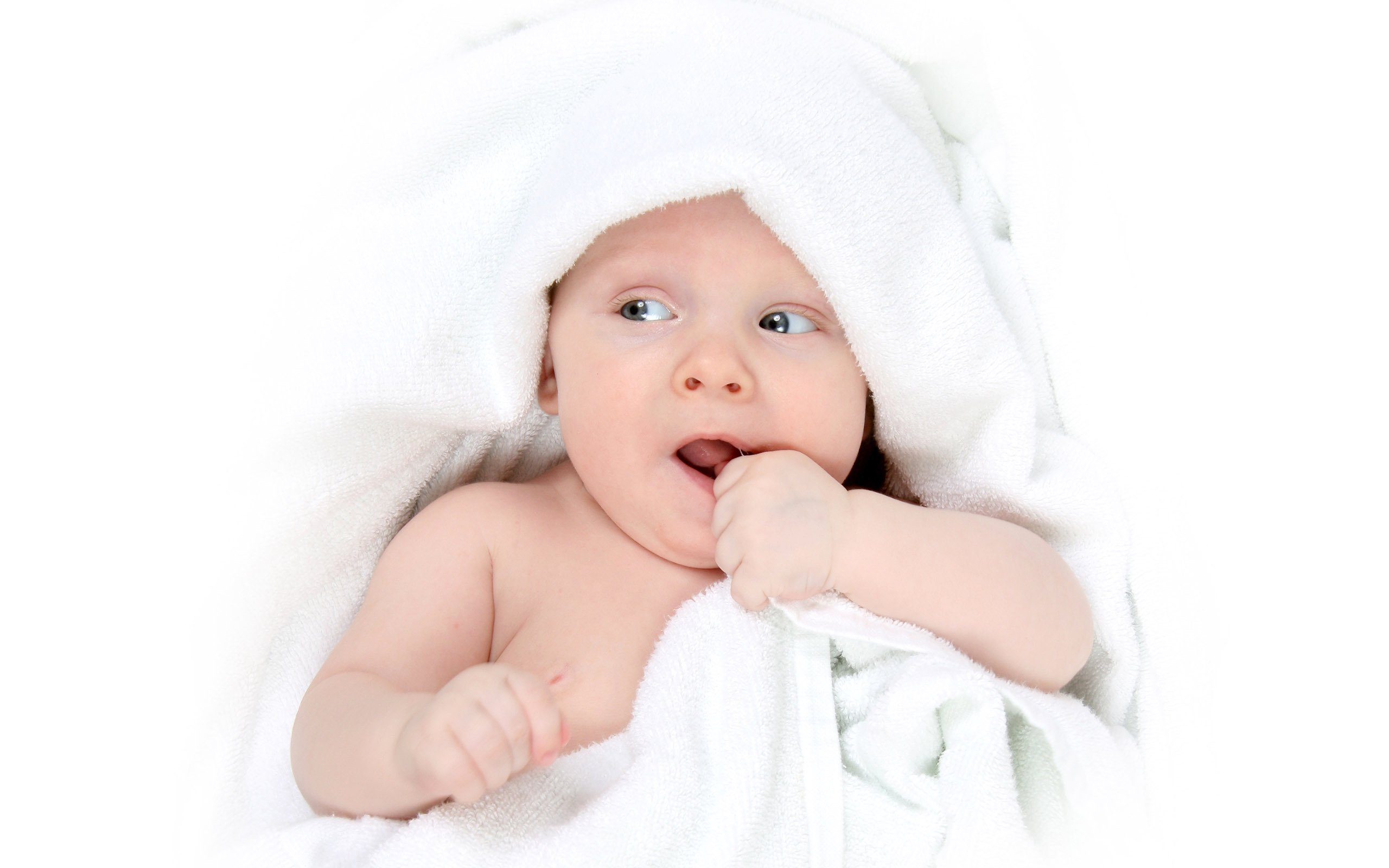洛阳借卵代生试管婴儿第二次移植成功率